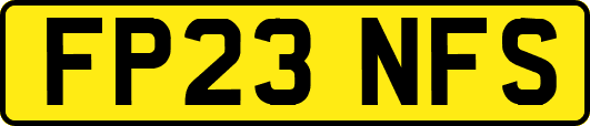 FP23NFS