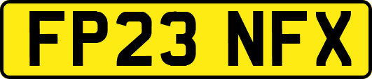 FP23NFX
