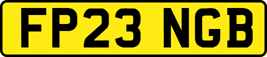 FP23NGB