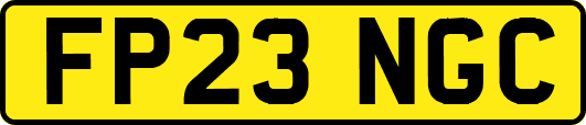 FP23NGC
