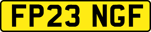 FP23NGF