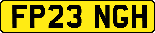 FP23NGH