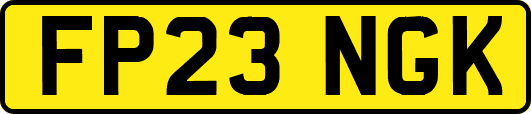 FP23NGK