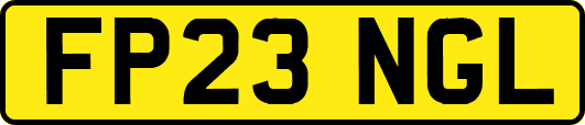 FP23NGL