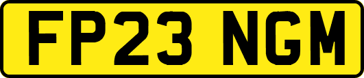 FP23NGM