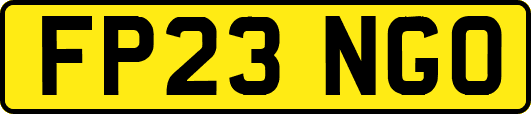 FP23NGO