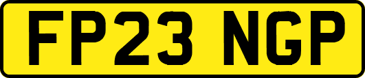 FP23NGP