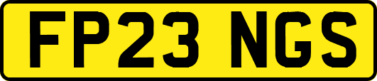 FP23NGS