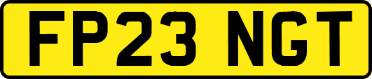FP23NGT