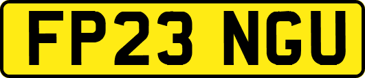 FP23NGU