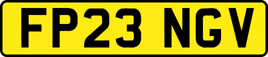FP23NGV