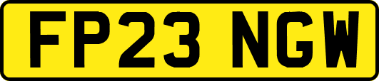 FP23NGW