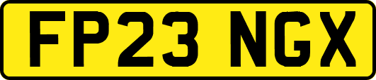 FP23NGX