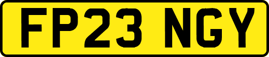 FP23NGY