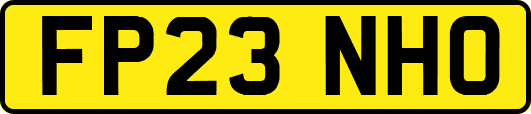 FP23NHO
