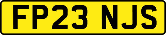 FP23NJS