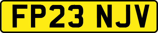 FP23NJV