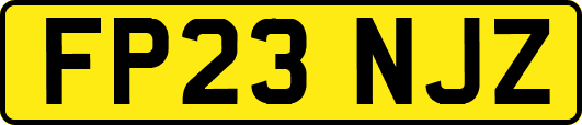 FP23NJZ