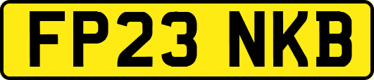 FP23NKB