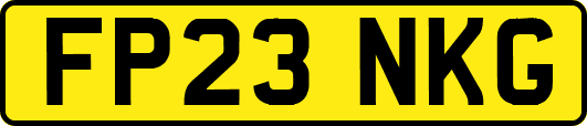 FP23NKG