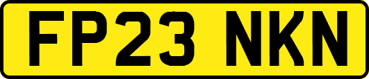 FP23NKN
