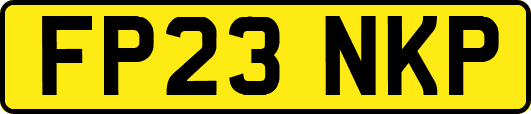 FP23NKP