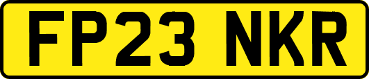 FP23NKR