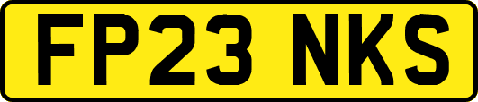 FP23NKS