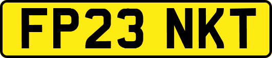 FP23NKT