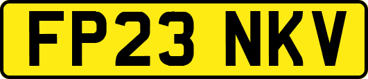 FP23NKV