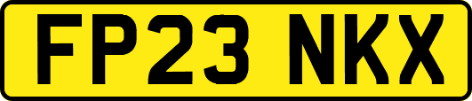 FP23NKX