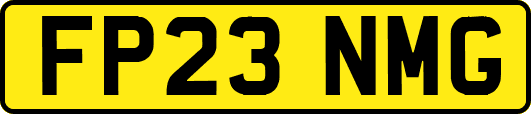 FP23NMG