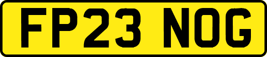 FP23NOG
