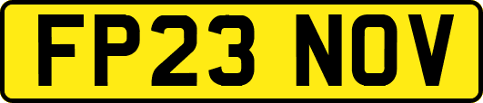 FP23NOV