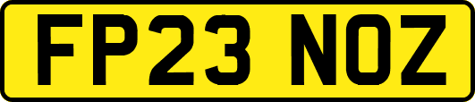 FP23NOZ