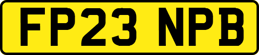 FP23NPB
