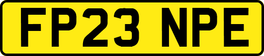 FP23NPE