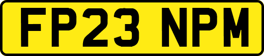 FP23NPM
