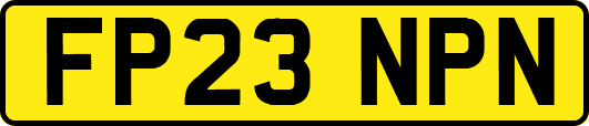 FP23NPN