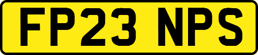 FP23NPS