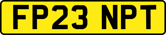 FP23NPT