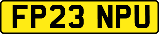 FP23NPU