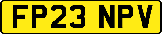 FP23NPV