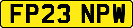 FP23NPW