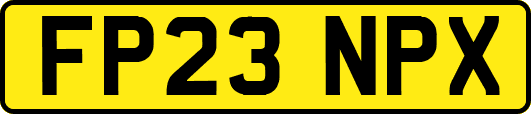 FP23NPX