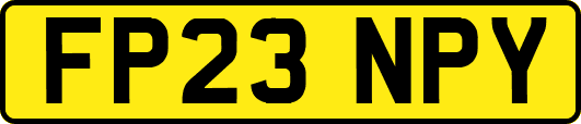 FP23NPY