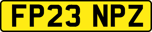 FP23NPZ