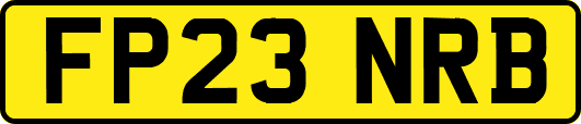 FP23NRB