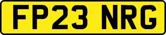FP23NRG