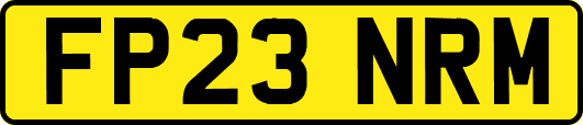 FP23NRM